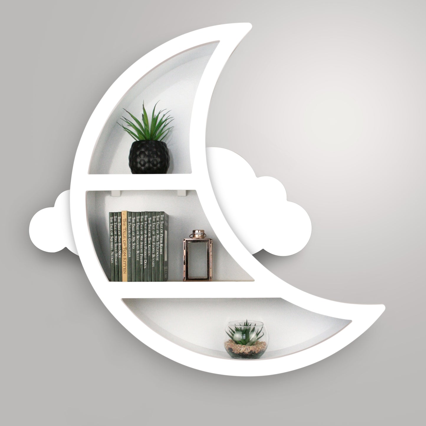 To The Moon Shelves